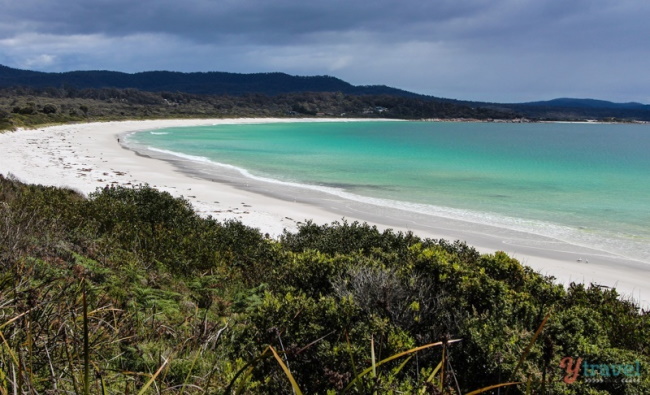 6 Cool Beaches in Tasmania to Visit
