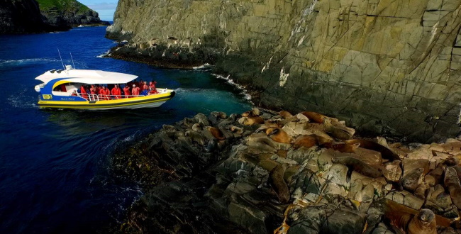 Bruny Island Cruise