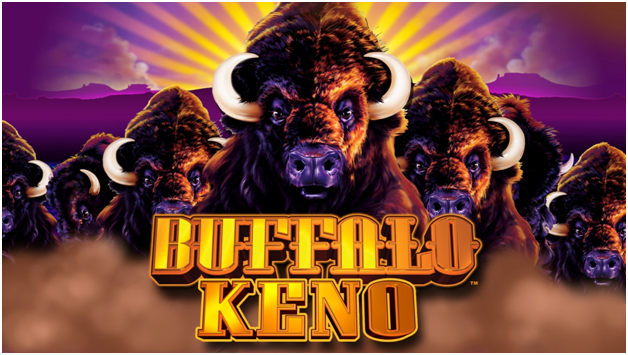 Buffalo Keno game