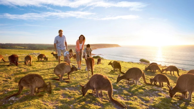 Explore Kangaroo Island