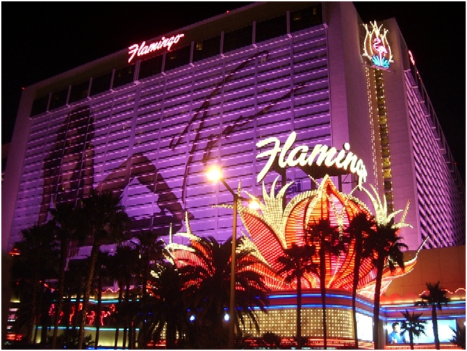 Flamingo casino