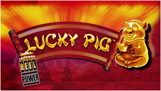 Lucky Pig