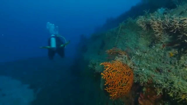 Tui Wreck