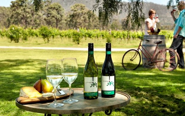 Wine Tours in Hunter Valley